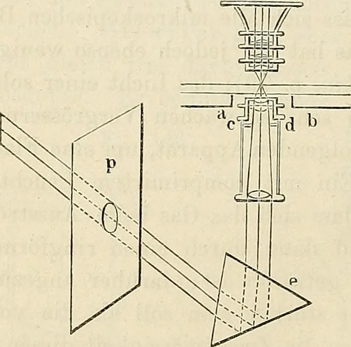 An illustration from Das mikroskop : Theorie, gebrauch, geschichte und gegenwärtiger zustand desselben, 1866, leaf 1011