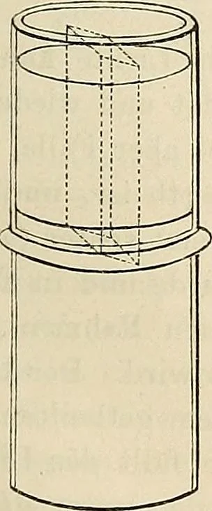 An illustration from Das mikroskop : Theorie, gebrauch, geschichte und gegenwärtiger zustand desselben, 1866, leaf 1026
