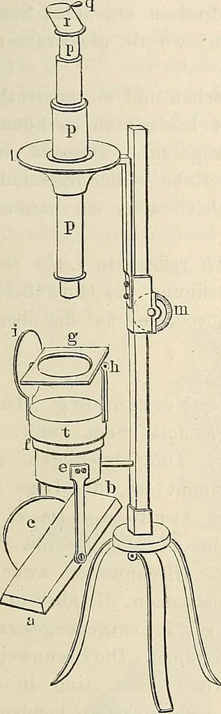 An illustration from Das mikroskop : Theorie, gebrauch, geschichte und gegenwärtiger zustand desselben, 1866, leaf 1028