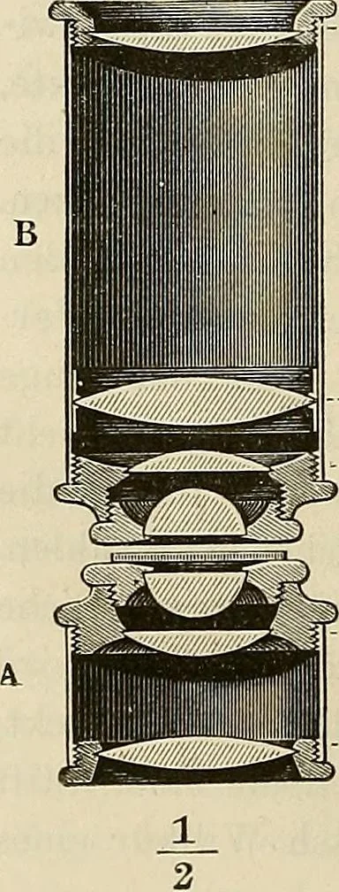 An illustration from Das mikroskop : Theorie, gebrauch, geschichte und gegenwärtiger zustand desselben, 1866, leaf 1029