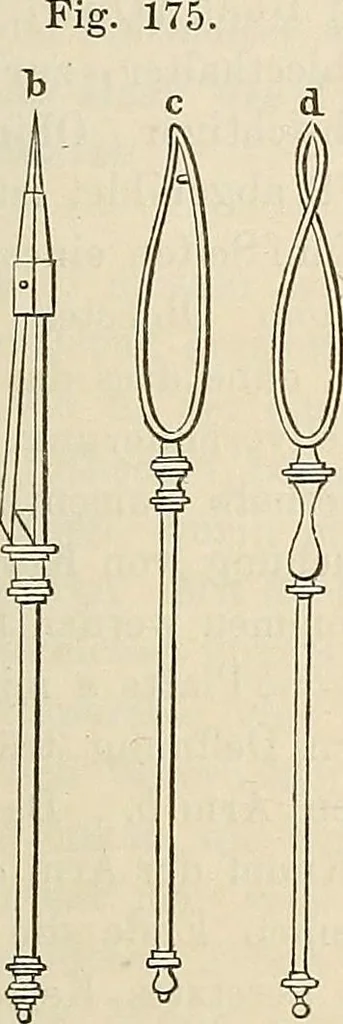 An illustration from Das mikroskop : Theorie, gebrauch, geschichte und gegenwärtiger zustand desselben, 1866, leaf 1036