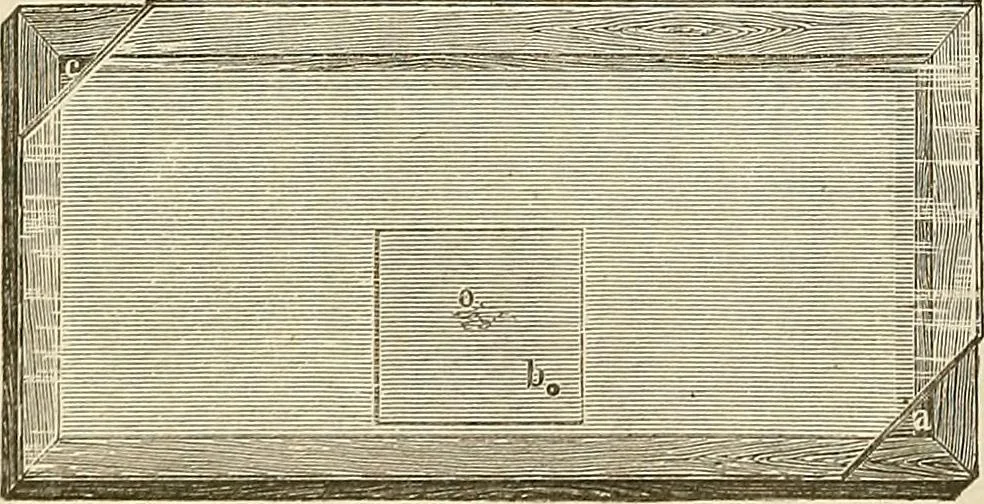 An illustration from Das mikroskop : Theorie, gebrauch, geschichte und gegenwärtiger zustand desselben, 1866, leaf 1039