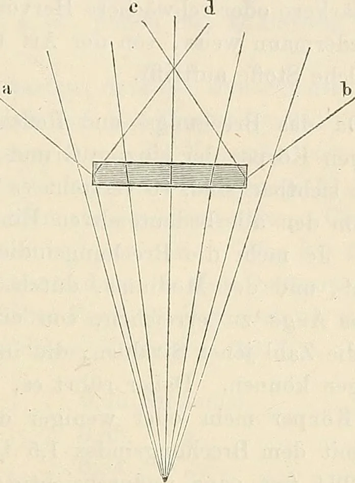 An illustration from Das mikroskop : Theorie, gebrauch, geschichte und gegenwärtiger zustand desselben, 1866, leaf 104