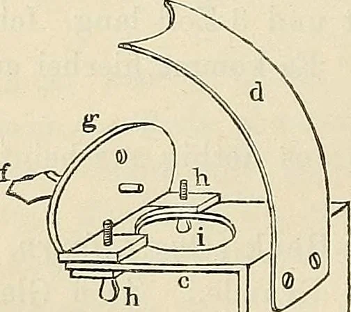 An illustration from Das mikroskop : Theorie, gebrauch, geschichte und gegenwärtiger zustand desselben, 1866, leaf 1041