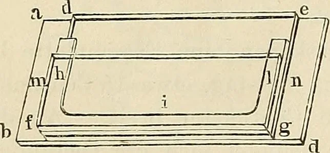 An illustration from Das mikroskop : Theorie, gebrauch, geschichte und gegenwärtiger zustand desselben, 1866, leaf 1043