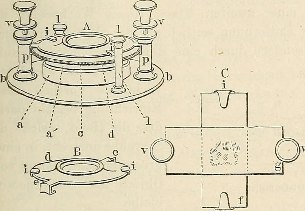 An illustration from Das mikroskop : Theorie, gebrauch, geschichte und gegenwärtiger zustand desselben, 1866, leaf 1046
