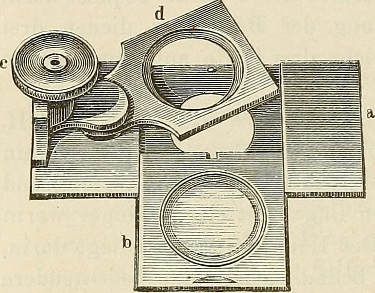 An illustration from Das mikroskop : Theorie, gebrauch, geschichte und gegenwärtiger zustand desselben, 1866, leaf 1049