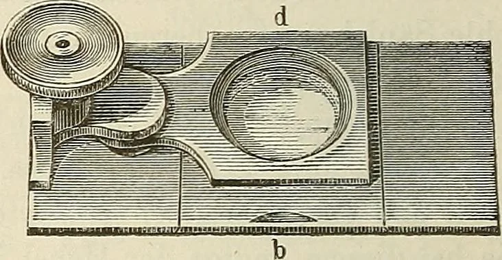 An illustration from Das mikroskop : Theorie, gebrauch, geschichte und gegenwärtiger zustand desselben, 1866, leaf 1049