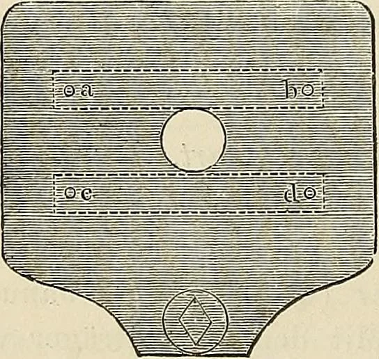 An illustration from Das mikroskop : Theorie, gebrauch, geschichte und gegenwärtiger zustand desselben, 1866, leaf 1053