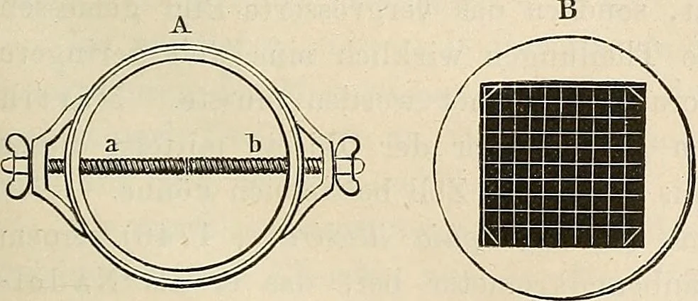 An illustration from Das mikroskop : Theorie, gebrauch, geschichte und gegenwärtiger zustand desselben, 1866, leaf 1062