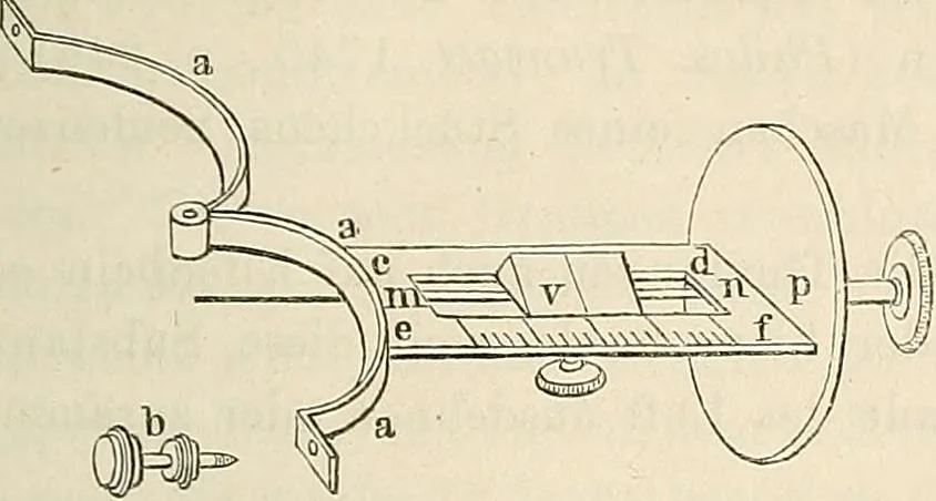 An illustration from Das mikroskop : Theorie, gebrauch, geschichte und gegenwärtiger zustand desselben, 1866, leaf 1064