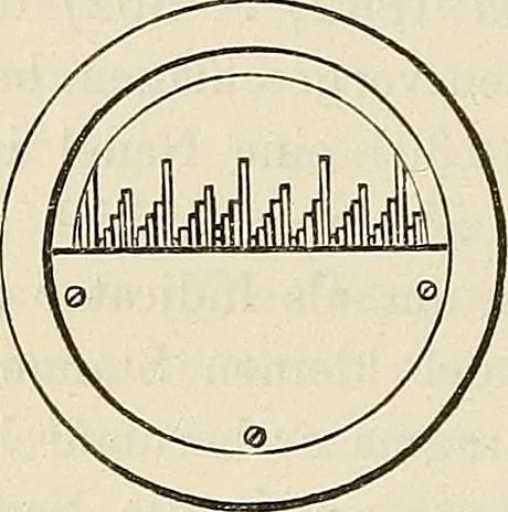 An illustration from Das mikroskop : Theorie, gebrauch, geschichte und gegenwärtiger zustand desselben, 1866, leaf 1081