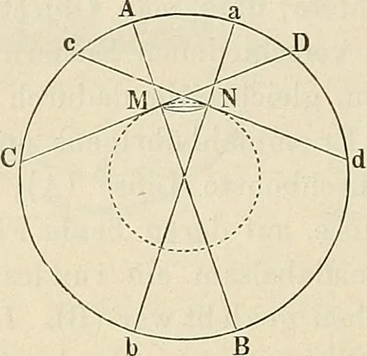 An illustration from Das mikroskop : Theorie, gebrauch, geschichte und gegenwärtiger zustand desselben, 1866, leaf 1083