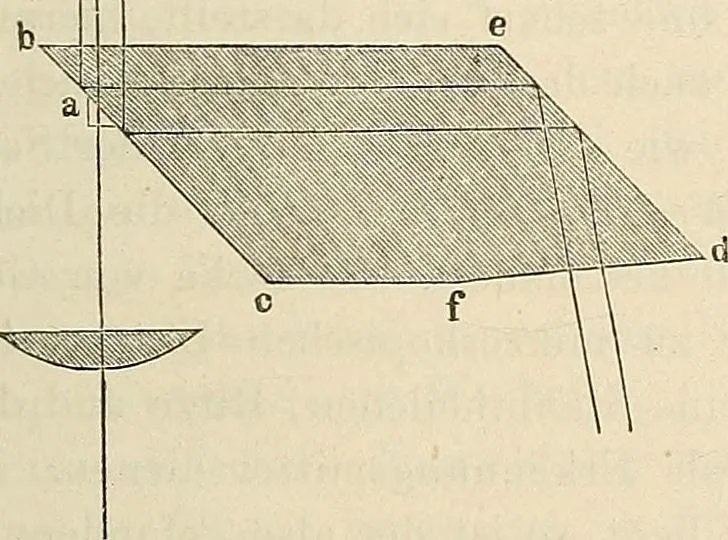 An illustration from Das mikroskop : Theorie, gebrauch, geschichte und gegenwärtiger zustand desselben, 1866, leaf 1092