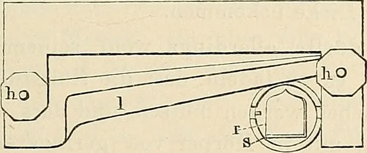 An illustration from Das mikroskop : Theorie, gebrauch, geschichte und gegenwärtiger zustand desselben, 1866, leaf 1104