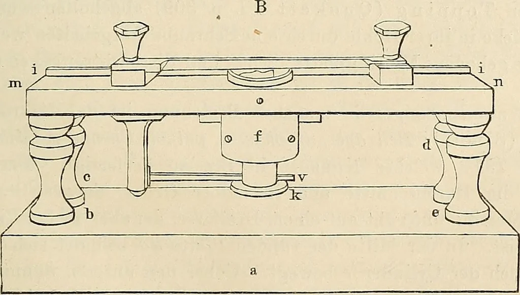 An illustration from Das mikroskop : Theorie, gebrauch, geschichte und gegenwärtiger zustand desselben, 1866, leaf 1104