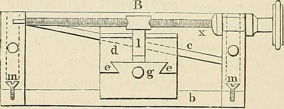 An illustration from Das mikroskop : Theorie, gebrauch, geschichte und gegenwärtiger zustand desselben, 1866, leaf 1107
