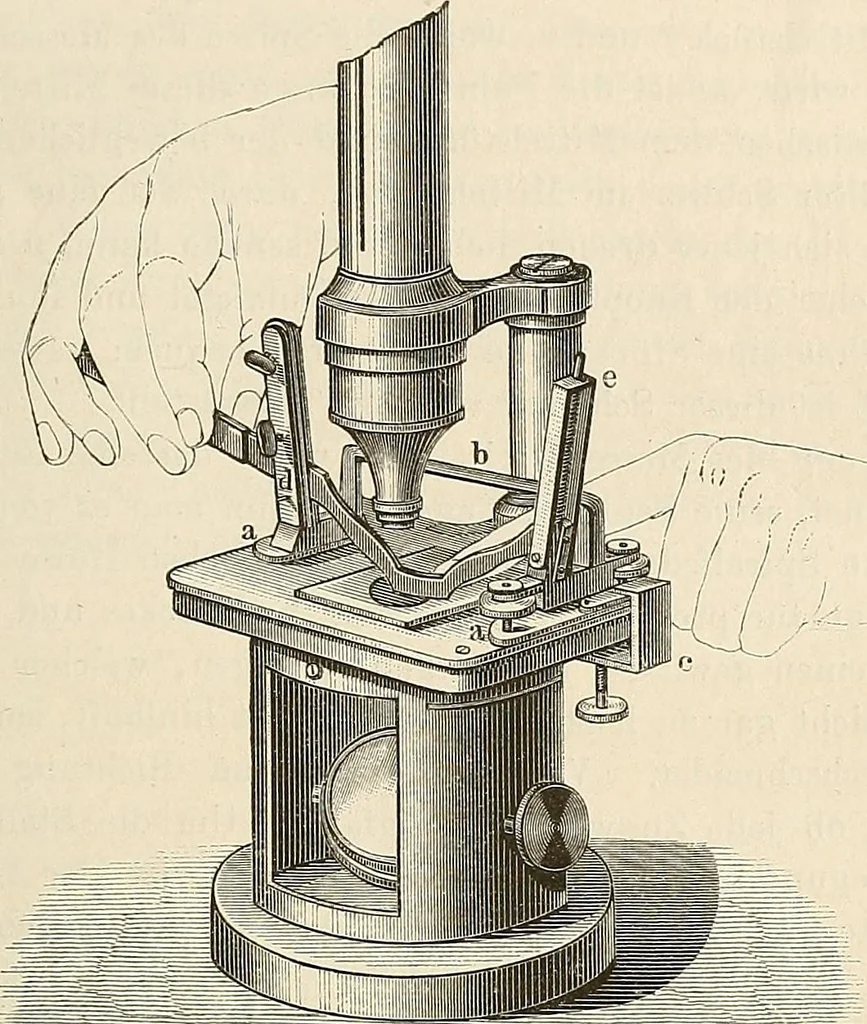 An illustration from Das mikroskop : Theorie, gebrauch, geschichte und gegenwärtiger zustand desselben, 1866, leaf 1110