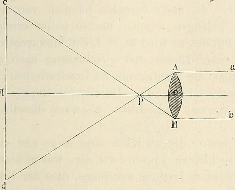 An illustration from Das mikroskop : Theorie, gebrauch, geschichte und gegenwärtiger zustand desselben, 1866, leaf 128