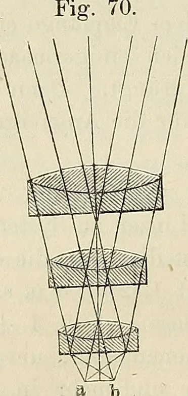 An illustration from Das mikroskop : Theorie, gebrauch, geschichte und gegenwärtiger zustand desselben, 1866, leaf 169