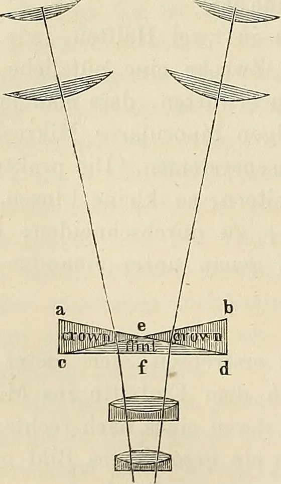 An illustration from Das mikroskop : Theorie, gebrauch, geschichte und gegenwärtiger zustand desselben, 1866, leaf 217