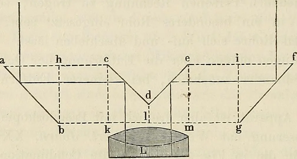 An illustration from Das mikroskop : Theorie, gebrauch, geschichte und gegenwärtiger zustand desselben, 1866, leaf 219