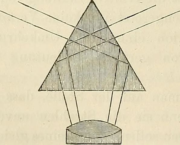 An illustration from Das mikroskop : Theorie, gebrauch, geschichte und gegenwärtiger zustand desselben, 1866, leaf 221