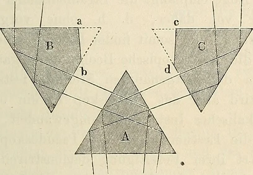 An illustration from Das mikroskop : Theorie, gebrauch, geschichte und gegenwärtiger zustand desselben, 1866, leaf 222