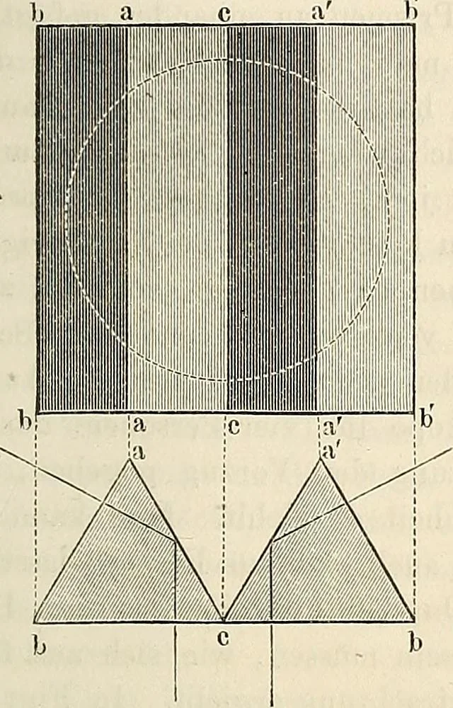 An illustration from Das mikroskop : Theorie, gebrauch, geschichte und gegenwärtiger zustand desselben, 1866, leaf 226