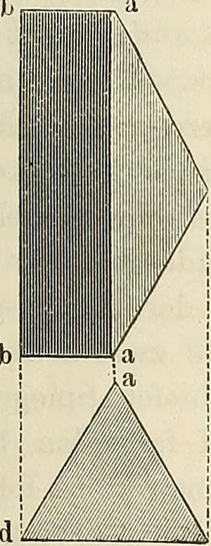 An illustration from Das mikroskop : Theorie, gebrauch, geschichte und gegenwärtiger zustand desselben, 1866, leaf 226