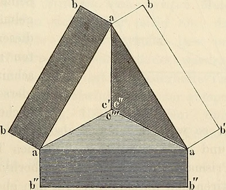 An illustration from Das mikroskop : Theorie, gebrauch, geschichte und gegenwärtiger zustand desselben, 1866, leaf 226