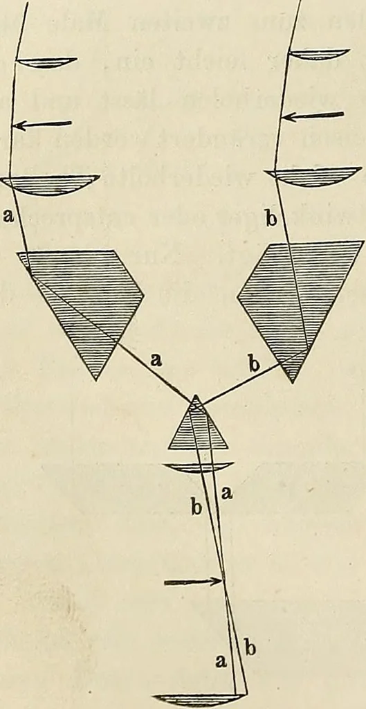 An illustration from Das mikroskop : Theorie, gebrauch, geschichte und gegenwärtiger zustand desselben, 1866, leaf 229