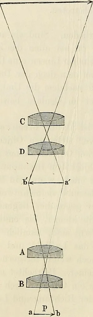 An illustration from Das mikroskop : Theorie, gebrauch, geschichte und gegenwärtiger zustand desselben, 1866, leaf 239