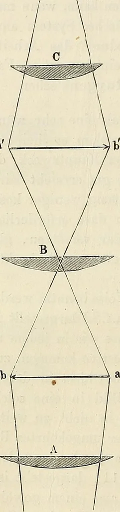 An illustration from Das mikroskop : Theorie, gebrauch, geschichte und gegenwärtiger zustand desselben, 1866, leaf 241