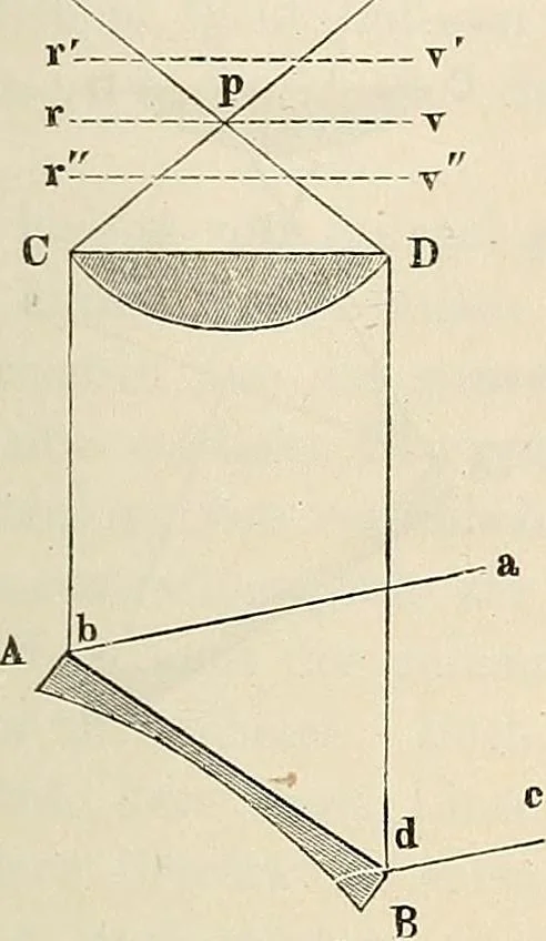 An illustration from Das mikroskop : Theorie, gebrauch, geschichte und gegenwärtiger zustand desselben, 1866, leaf 252