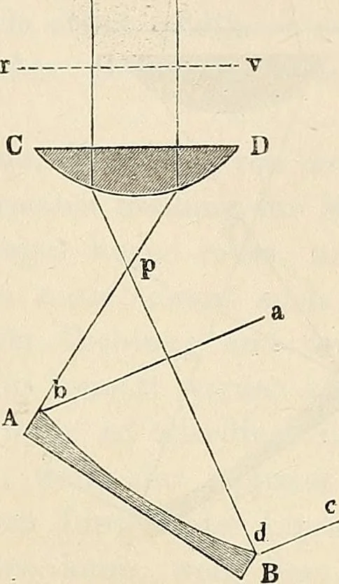 An illustration from Das mikroskop : Theorie, gebrauch, geschichte und gegenwärtiger zustand desselben, 1866, leaf 252