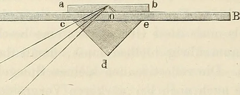 An illustration from Das mikroskop : Theorie, gebrauch, geschichte und gegenwärtiger zustand desselben, 1866, leaf 261