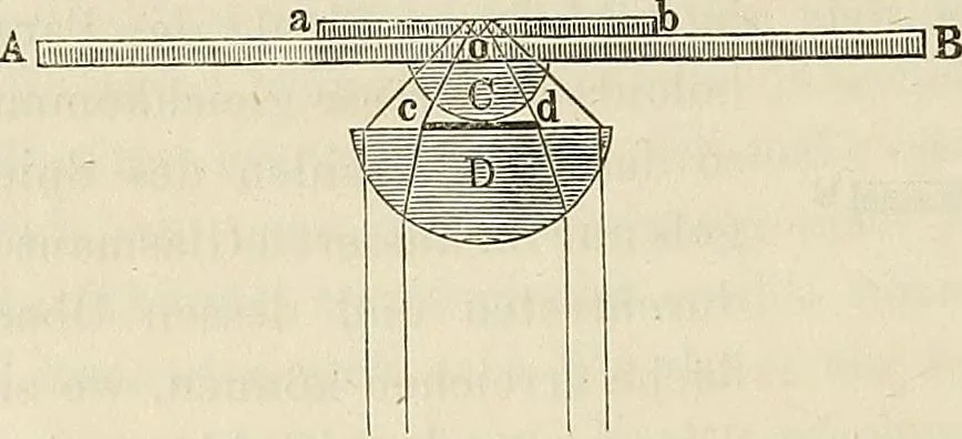 An illustration from Das mikroskop : Theorie, gebrauch, geschichte und gegenwärtiger zustand desselben, 1866, leaf 263