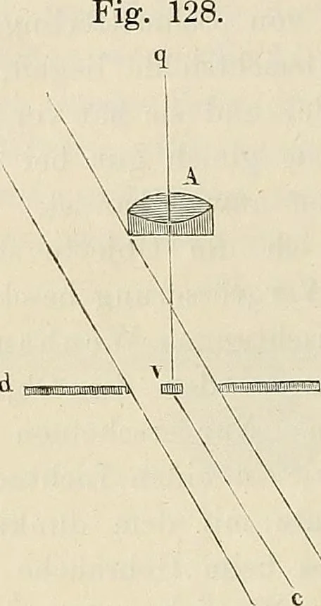 An illustration from Das mikroskop : Theorie, gebrauch, geschichte und gegenwärtiger zustand desselben, 1866, leaf 265