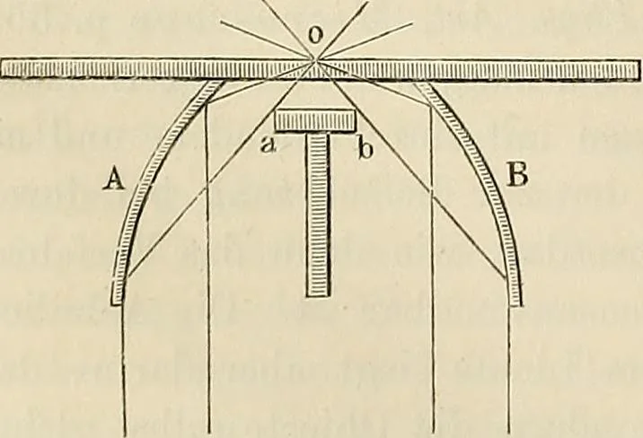 An illustration from Das mikroskop : Theorie, gebrauch, geschichte und gegenwärtiger zustand desselben, 1866, leaf 265