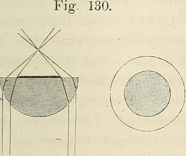 An illustration from Das mikroskop : Theorie, gebrauch, geschichte und gegenwärtiger zustand desselben, 1866, leaf 266