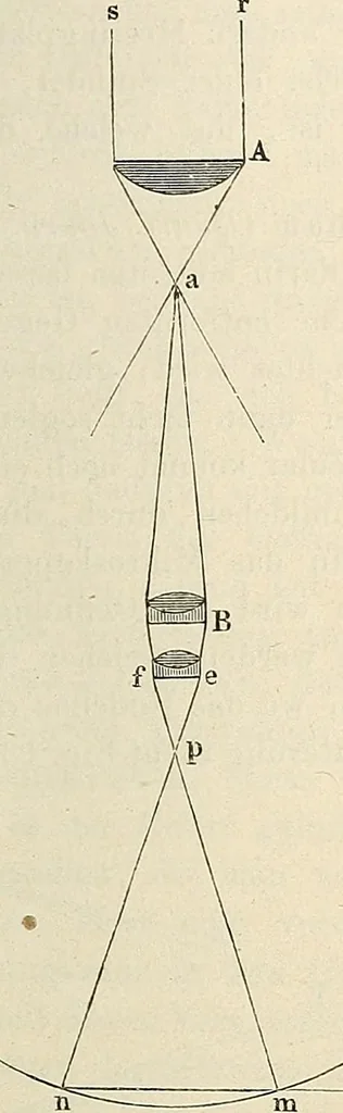 An illustration from Das mikroskop : Theorie, gebrauch, geschichte und gegenwärtiger zustand desselben, 1866, leaf 308