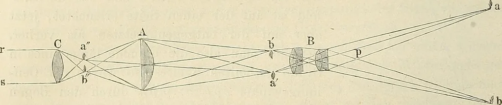 An illustration from Das mikroskop : Theorie, gebrauch, geschichte und gegenwärtiger zustand desselben, 1866, leaf 309