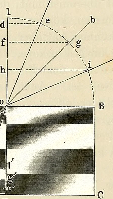 An illustration from Das mikroskop : Theorie, gebrauch, geschichte und gegenwärtiger zustand desselben, 1866, leaf 35