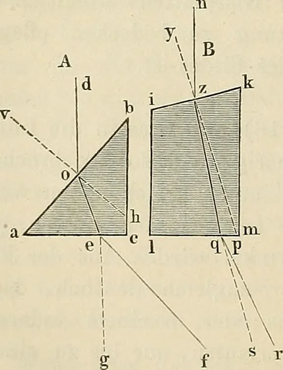 An illustration from Das mikroskop : Theorie, gebrauch, geschichte und gegenwärtiger zustand desselben, 1866, leaf 39