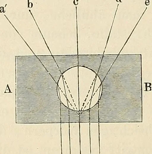 An illustration from Das mikroskop : Theorie, gebrauch, geschichte und gegenwärtiger zustand desselben, 1866, leaf 405