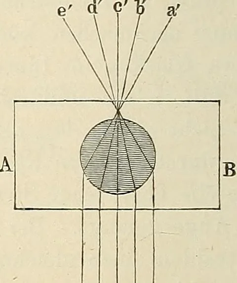 An illustration from Das mikroskop : Theorie, gebrauch, geschichte und gegenwärtiger zustand desselben, 1866, leaf 405