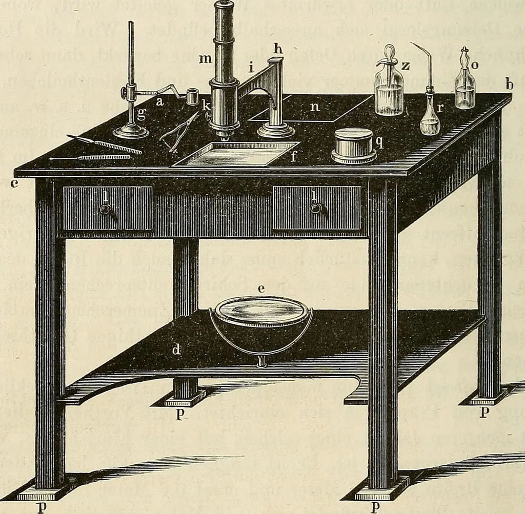 An illustration from Das mikroskop : Theorie, gebrauch, geschichte und gegenwärtiger zustand desselben, 1866, leaf 435
