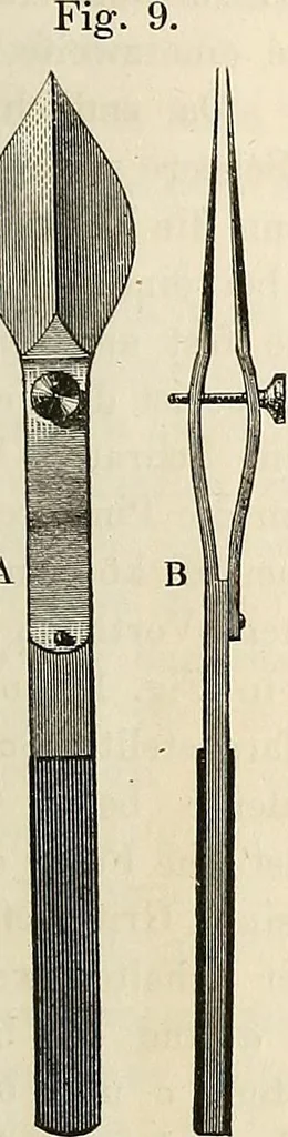 An illustration from Das mikroskop : Theorie, gebrauch, geschichte und gegenwärtiger zustand desselben, 1866, leaf 438