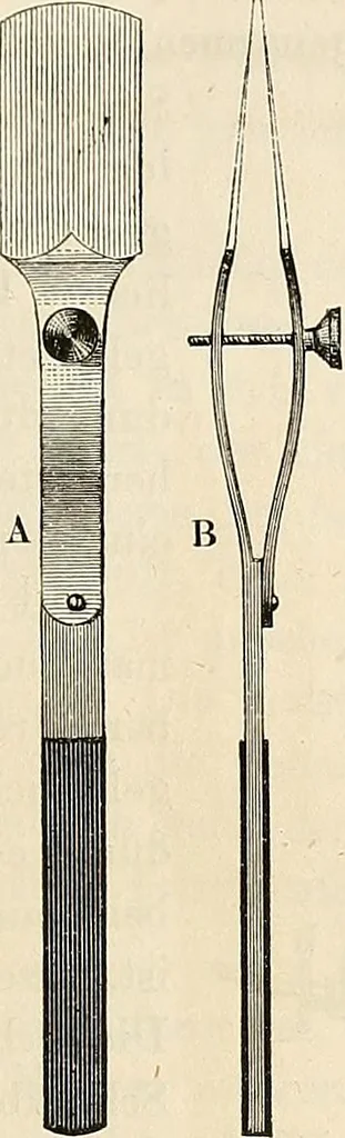 An illustration from Das mikroskop : Theorie, gebrauch, geschichte und gegenwärtiger zustand desselben, 1866, leaf 438